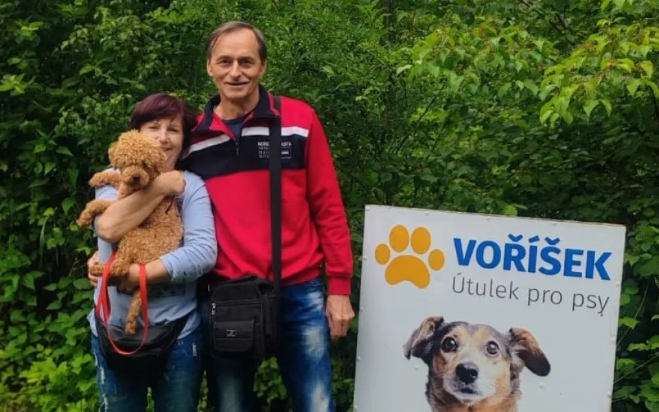 VIDEO: Týraní pejsci z množírny mají nový domov. Z útulku v Čechách pod Kosířem putovali do celé země