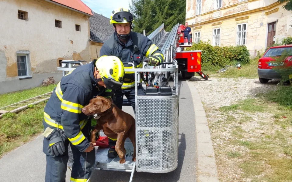 Operace labrador. Z římsy domu v Troubelicích hasiči sundávali psa, který zřejmě pronásledoval kočku