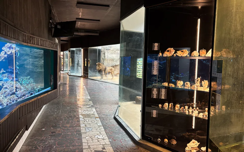 Do pavilonu šelem i na prohlídku zvířecích lebek. Zoo Olomouc připravila speciální expozici