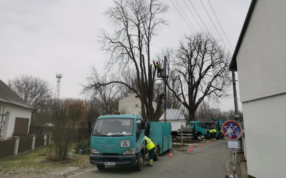 Chomoutov se snaží na poslední chvíli odvrátit kácení dvou historických kaštanů. Jsou nebezpečné, tvrdí město