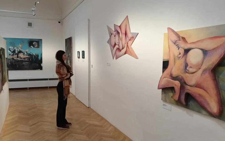 FOTOGALERIE: Prostějovské muzeum dalo prostor středoškoláků. Představilo jejich originální tvorbu