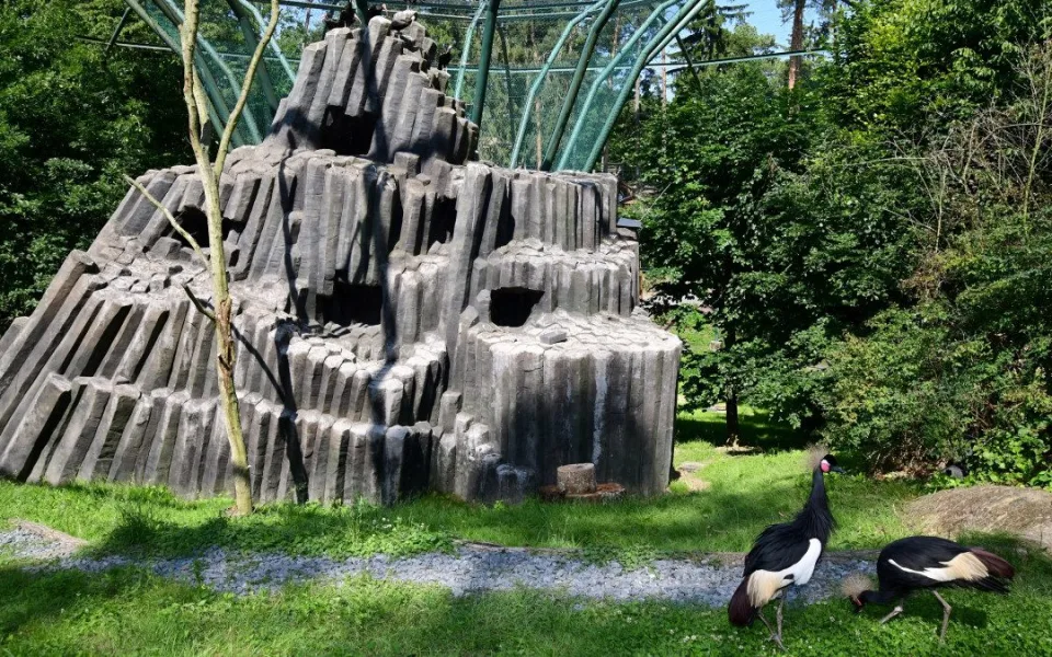 Bábovka je otevřená. V obří voliéře v olomoucké zoo se lidé projdou mezi cizokrajným ptactvem