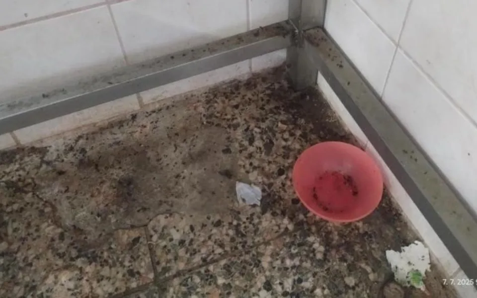 Inspektoři zavřeli restauraci v lázeňské obci Skalka. Uvnitř našli špínu a mrtvé hlodavce