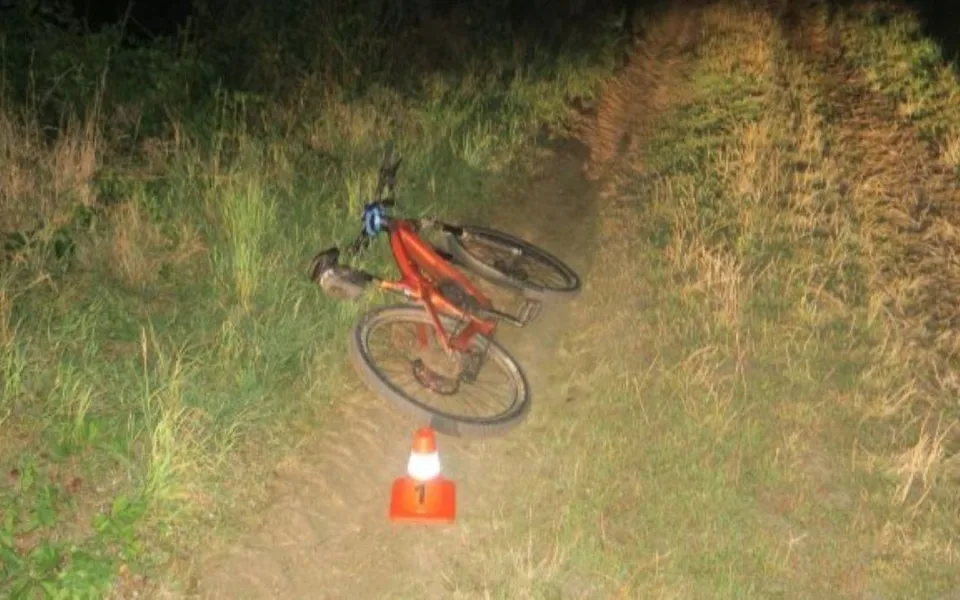cyklistu srazila srna