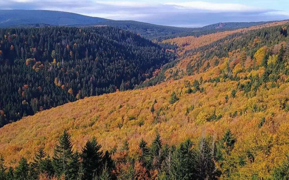 Rezervace Skalní potok se rozšířila o sedm hektarů
