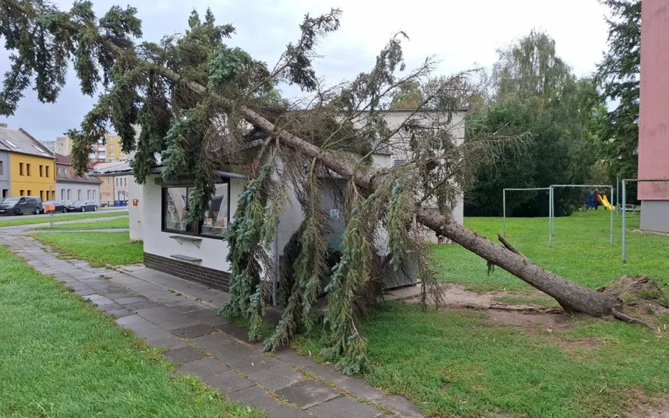 V Přerově se strom vyvrátil při silném větru na objekt trafiky