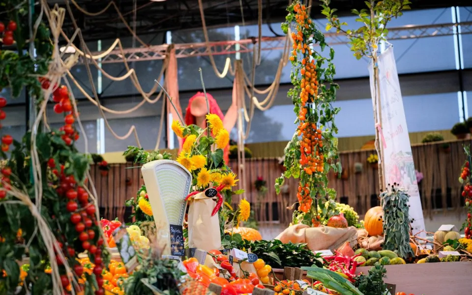 podzimni_Flora_Olomouc_Hortikomplex _exp