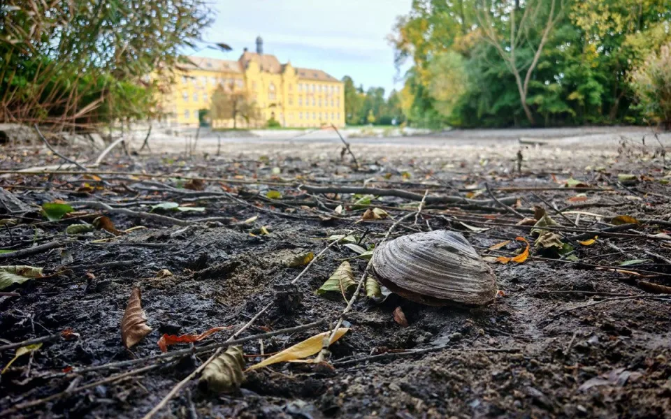V rybníku v Litovli našli invazivní škeblice. Nikam je nepřenášejte, apeluje město