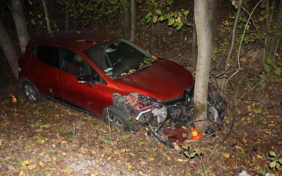 Opilý mladík nezvládl rychlost a u Břevence v noci vyletěl ze silnice. Skončil ve stromě