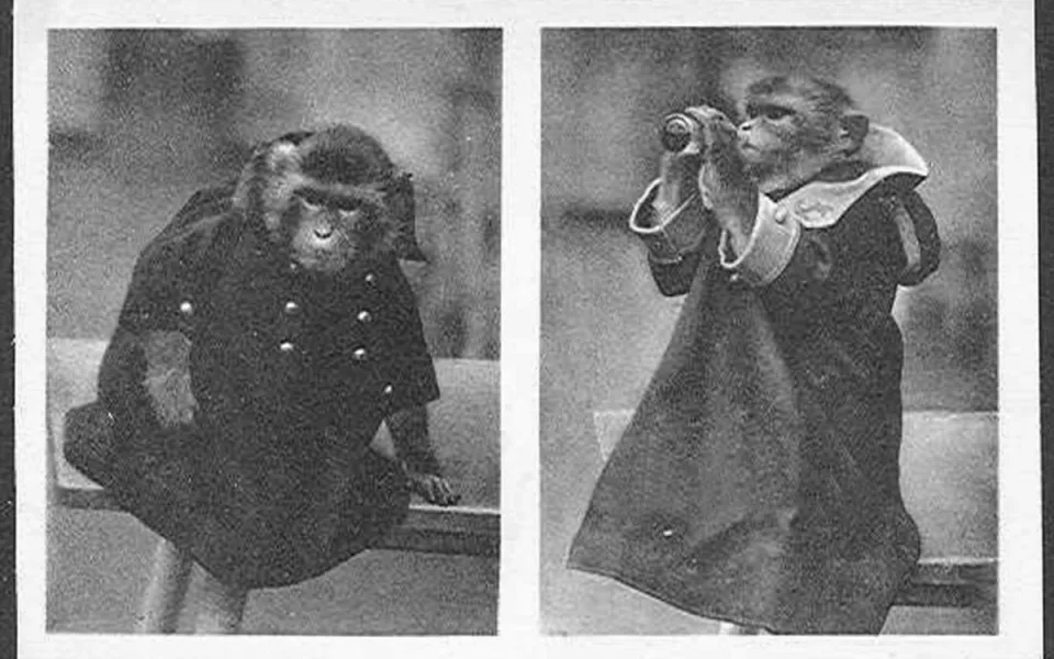 Nemáte doma historické fotografie z olomoucké zoo? Zahrada prosí o jejich propůjčení