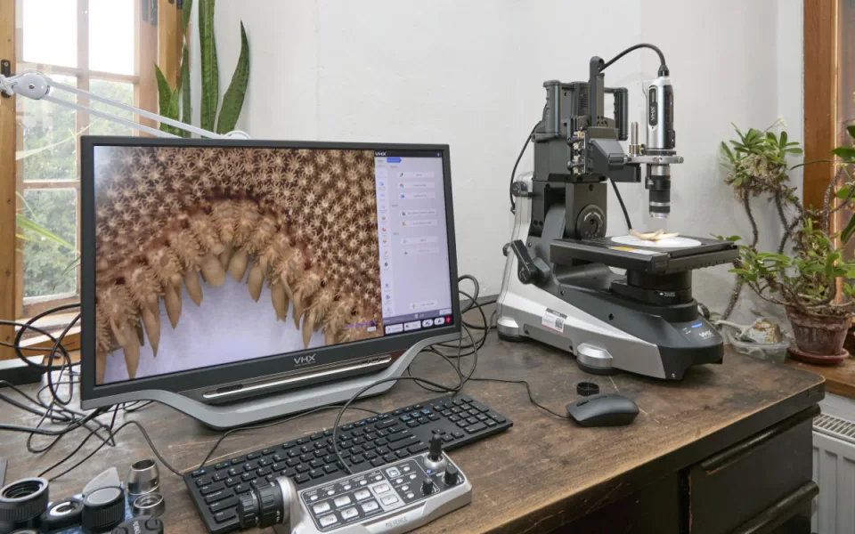 Vlastivědné muzeum získalo digitální mikroskop. Pomůže přiblížit přírodovědné sbírky