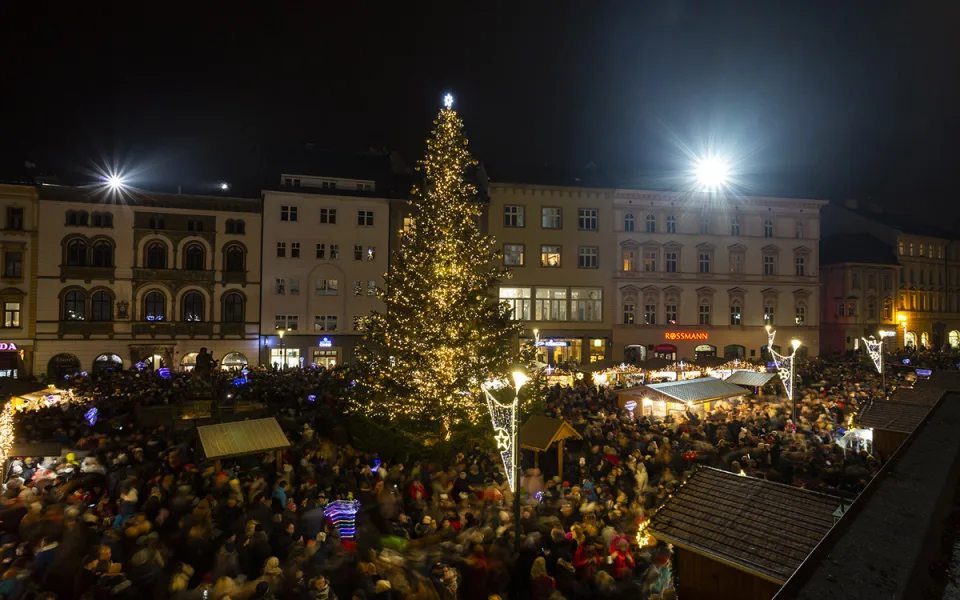 Rozsvícení vánočního stromu v Olomouci - ilustrační foto