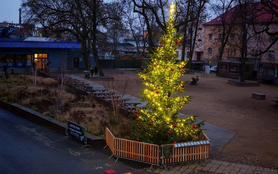 Vánoční strom nazvaný KOKOS na okraji olomouckého parku za pavilonem A Výstaviště Flora
