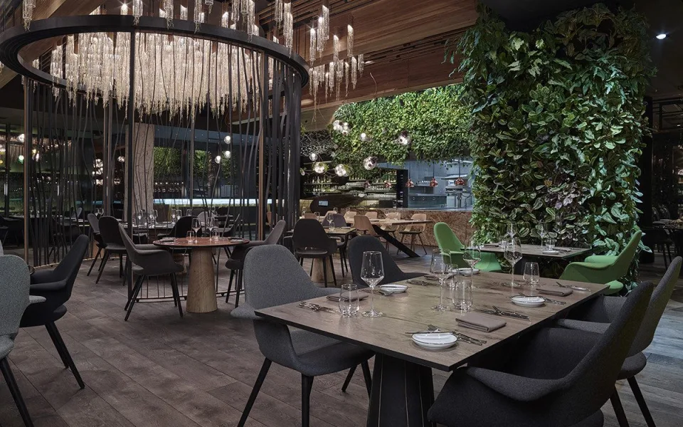 První michelinská hvězda pro Olomouc. Prestižní ocenění získala restaurace Entrée