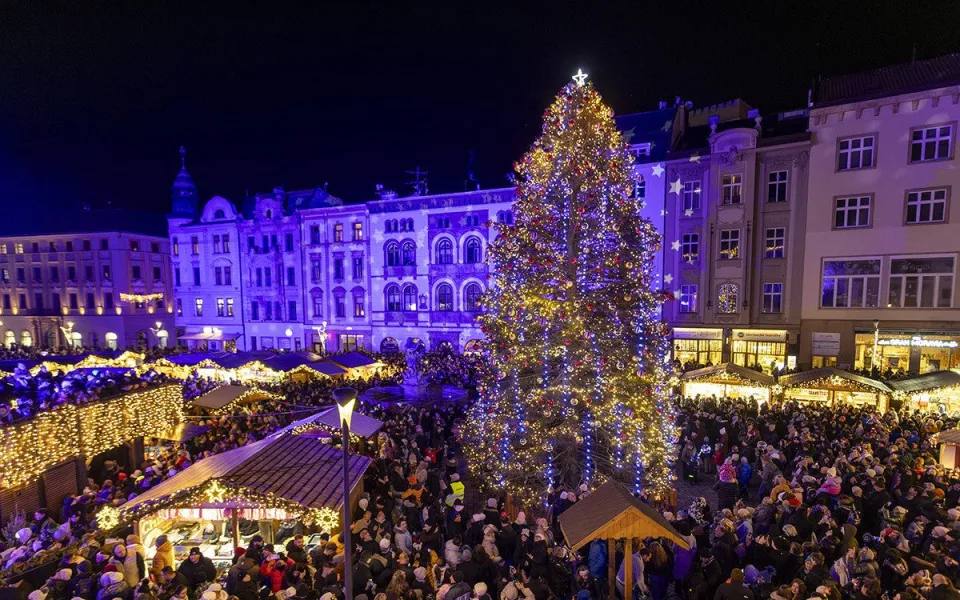 Stromky z olomouckých trhů ozdobí domácnosti. Organizátoři je rozdají obyvatelům náměstí
