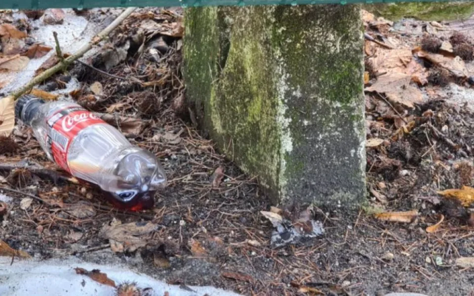 O Vánocích neplýtvejte jídlem, přikrmujete potkany, varuje olomoucká radnice