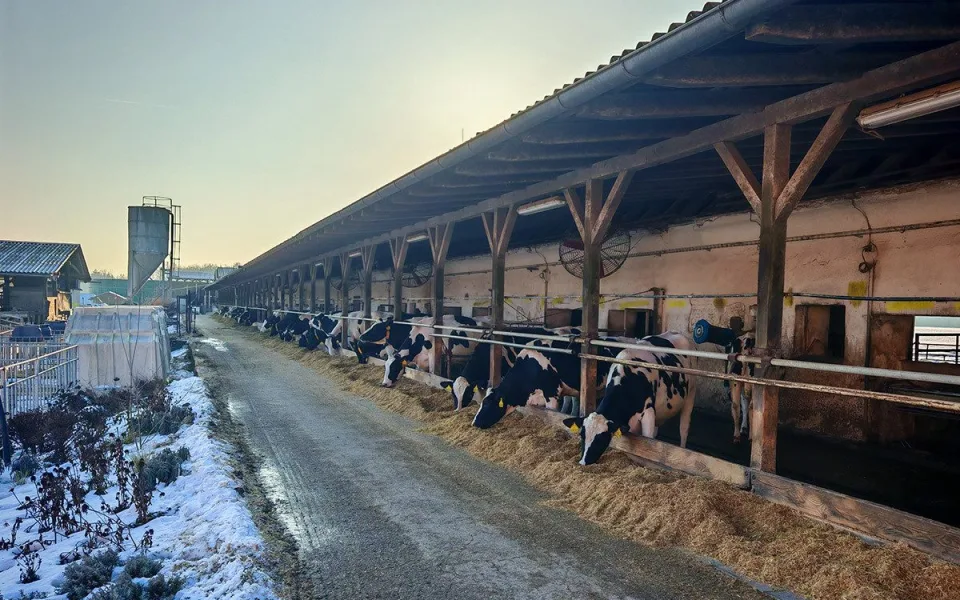 Statek Doubravský dvůr