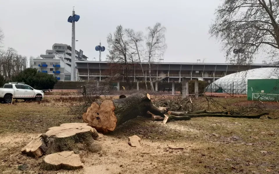 U centra Olomouce se rozběhlo kácení. Začíná roky odkládaná proměna ASO parku