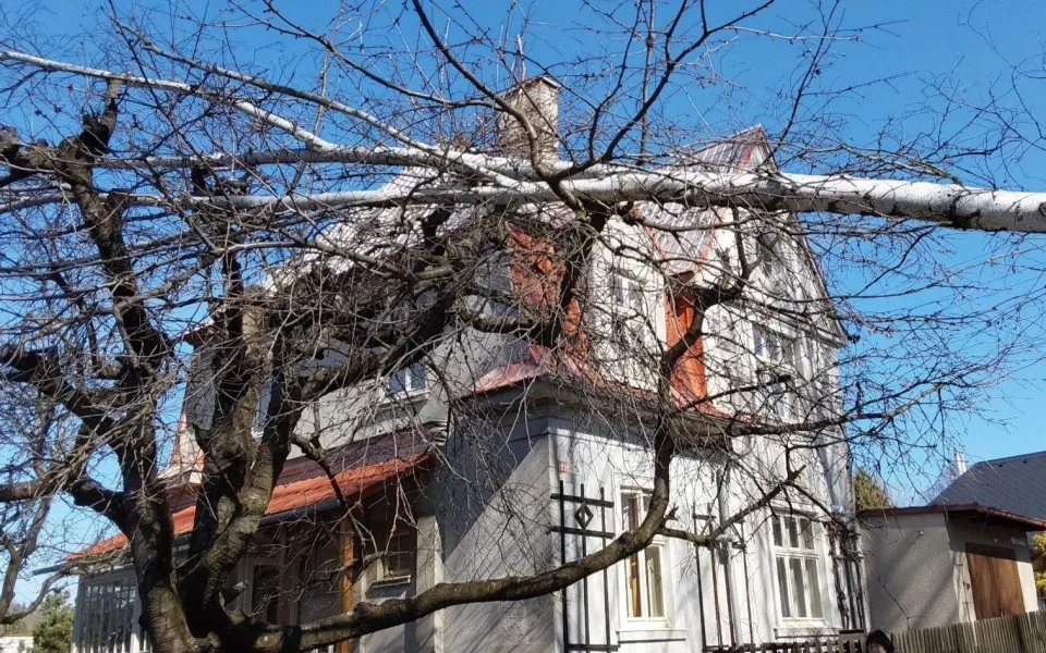 Silný vítr v Olomouckém kraji lámal stromy. Hasiči měli od rána už téměř padesát výjezdů