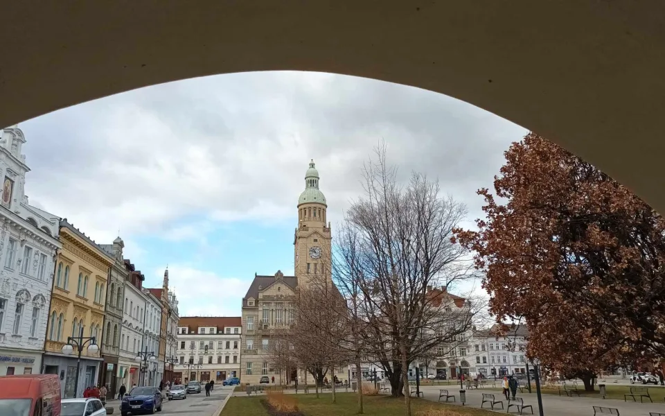 Prostějov chce zakázat užívání kratomu a psychoaktivních látek