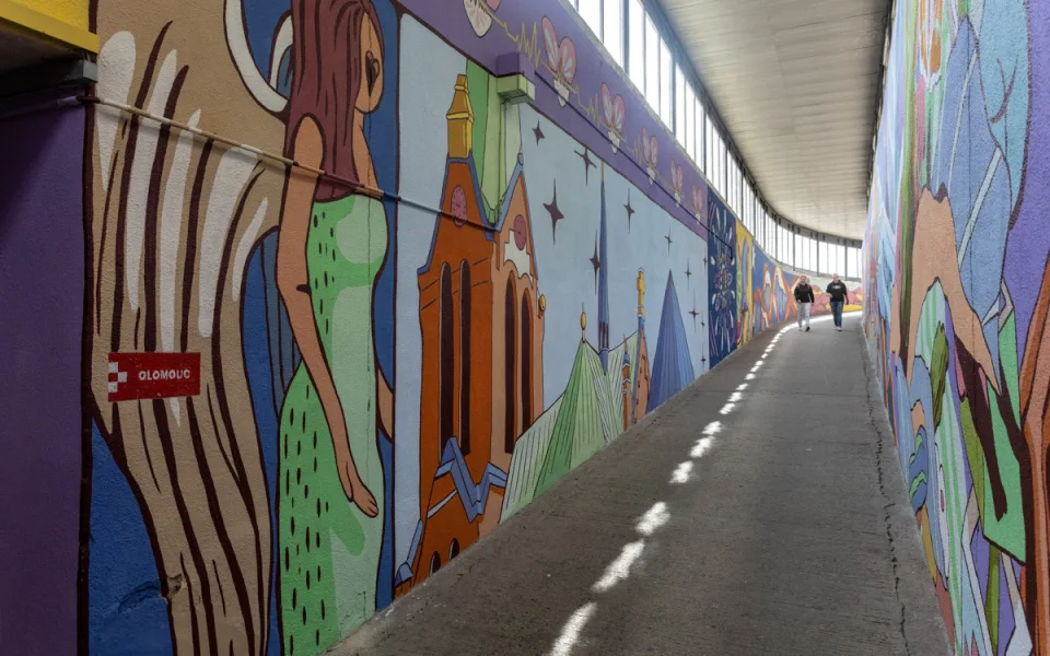 Výtvarnou proměnou prošel loni podchod pod Foerstrovou ulicí u Fakultní nemocnice Olomouc