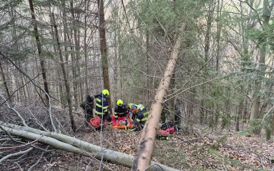 Dřevorubec spadl v Jeseníkách při těžbě dřeva ze stromu. Letěl pro něho vrtulník