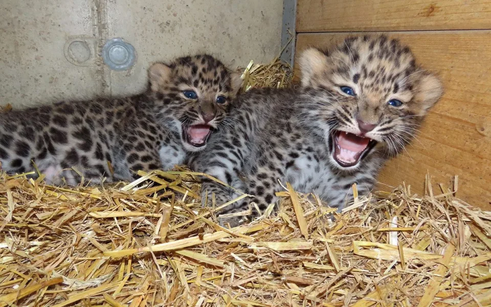Zoo Olomouc