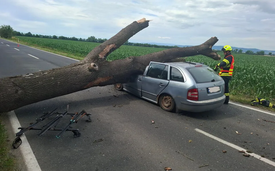 Obrovský kmen spadl na u Olomouce na auto, řidiče vyprostili hasiči
