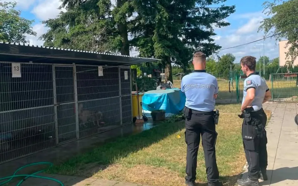 Šokující noční vpád do útulku: psi z Mohelnice skončili se zvracením a průjmy