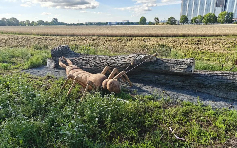 Obří škvor i beruška. Prostějov má nové hmyzí sochy pro podporu přírody ve městě