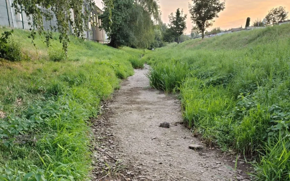 Sucho drtí Olomoucký kraj. Potoky vyschly, Morava má zlomek průtoku, trpí ryby
