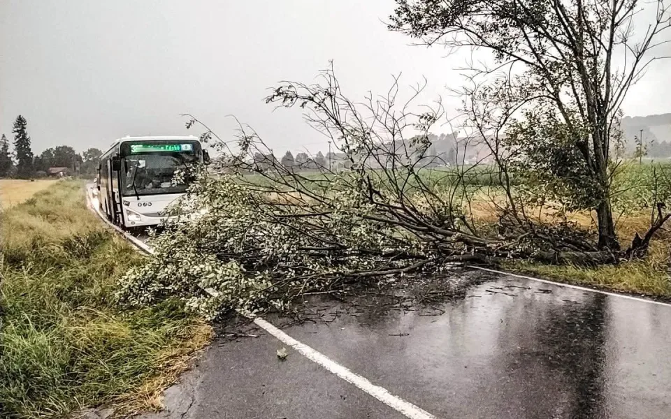 Spadlé stromy a větve. Hasiči mají v kraji kvůli bouřkám už čtyřicítku výjezdů