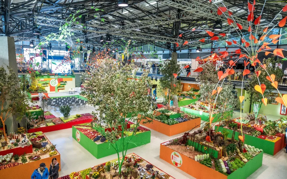 Trhy i kulinářské show. Podzimní Flora Olomouc oslaví Dary naší země