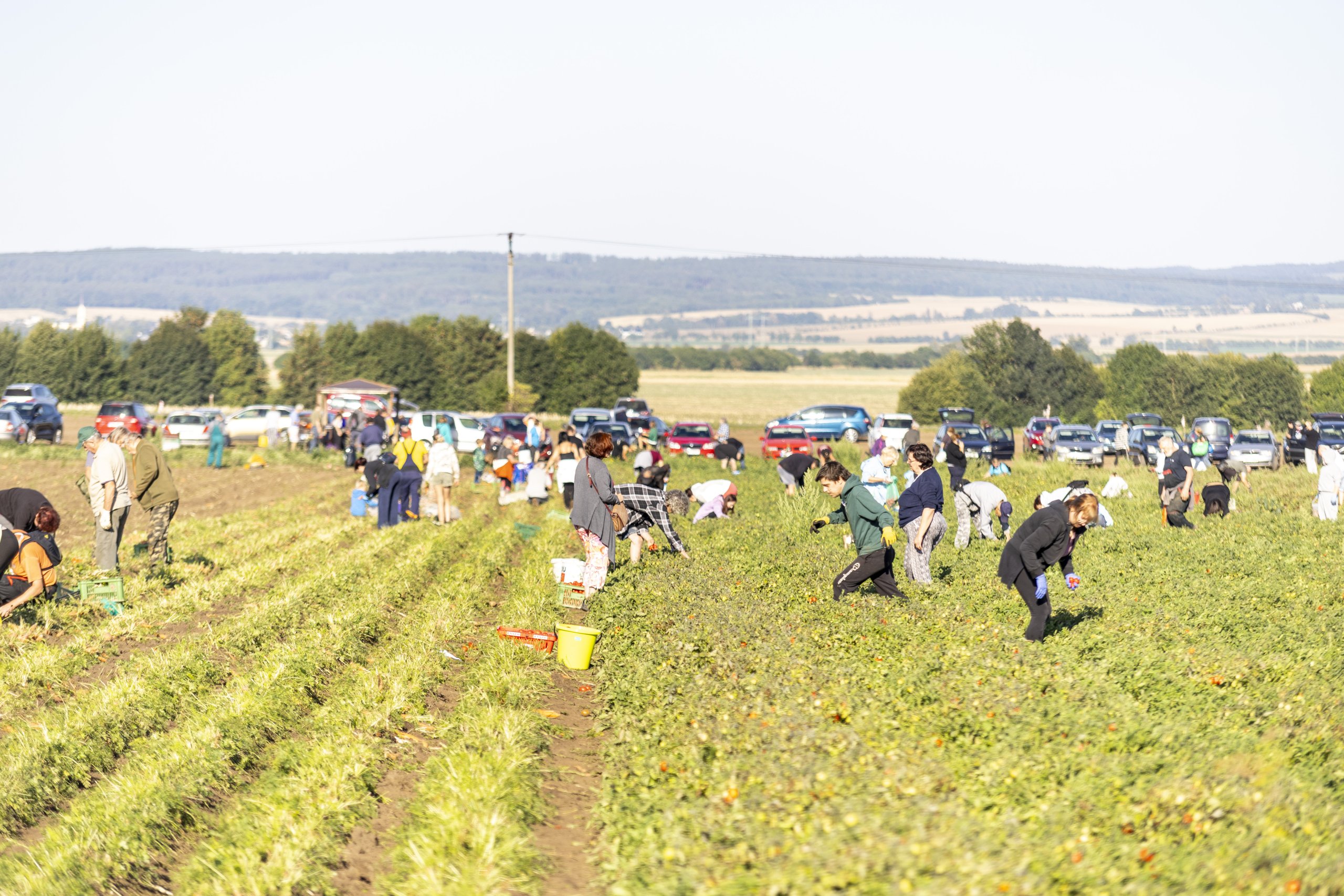 FOTOGALERIE: Samosběr ve Vojnicích na Olomoucku přitáhl davy zájemců