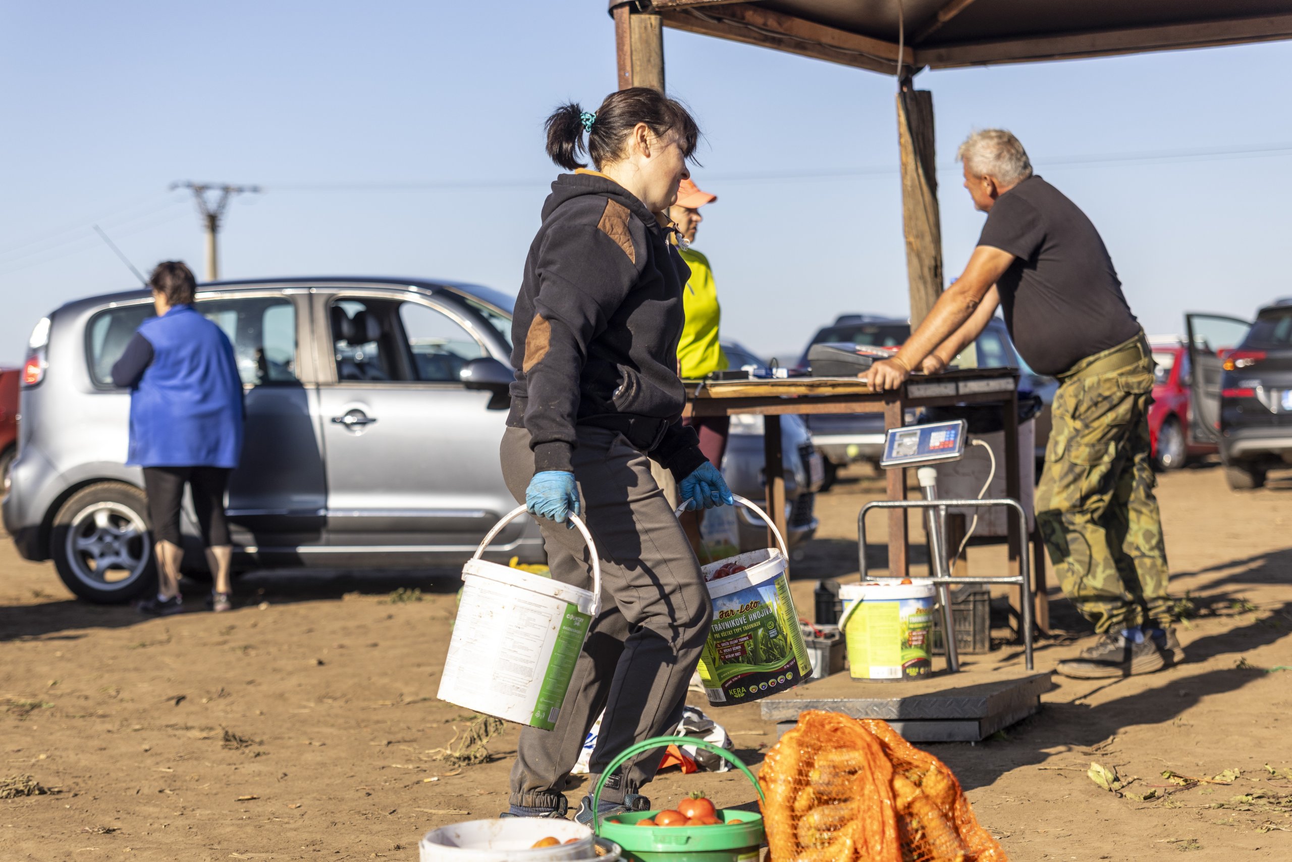 FOTOGALERIE: Samosběr ve Vojnicích na Olomoucku přitáhl davy zájemců